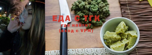 сатива Новозыбков