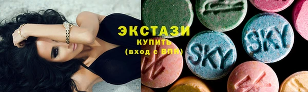 сатива Новозыбков