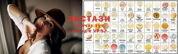 сатива Новозыбков