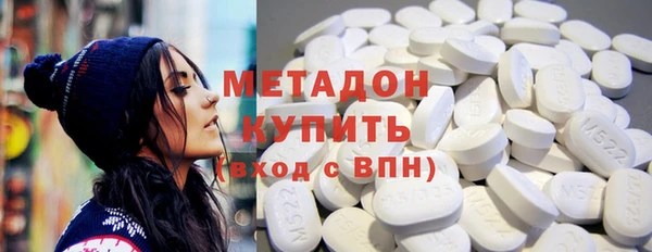 сатива Новозыбков