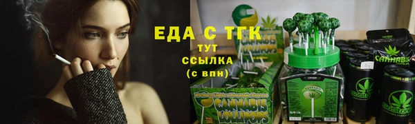 сатива Новозыбков