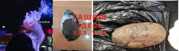 сатива Новозыбков