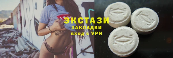 сатива Новозыбков