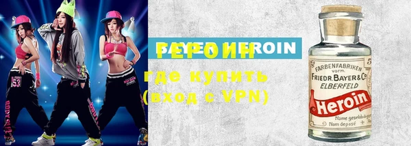 сатива Новозыбков