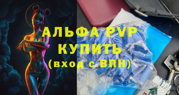 сатива Новозыбков