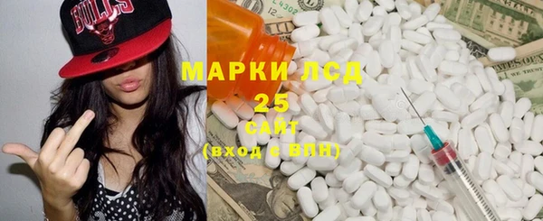 сатива Новозыбков