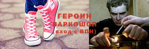 сатива Новозыбков